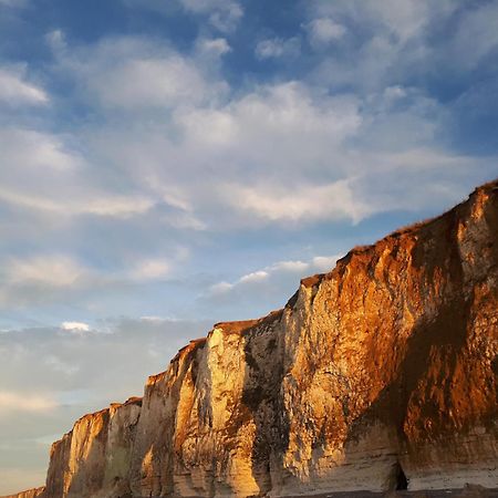 Maison Chaleureuse Et Lumineuse A 400M De La Plage Villa Veulettes-sur-Mer Dış mekan fotoğraf